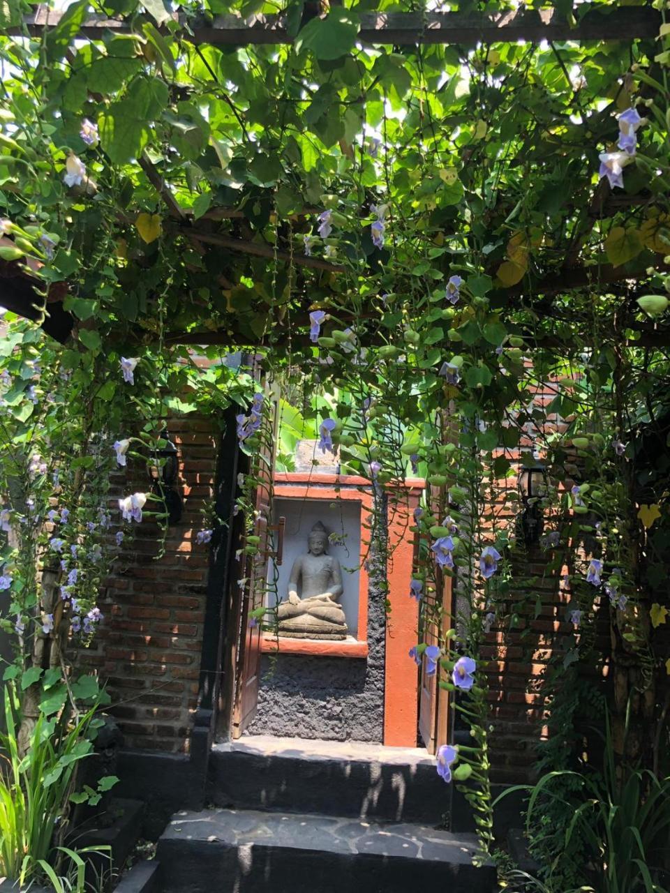 Tribe Theory Startup Village For Entrepreneurs Kuta  Exterior photo